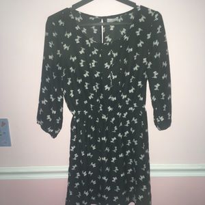 Dog dress fits like a small great for fall